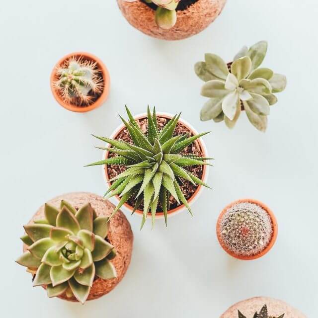 24253999 1232637293546789 49577778160336896 Nfull